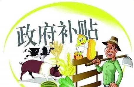 申報養(yǎng)豬補貼不成功？這些“潛規(guī)則”一般人都不懂