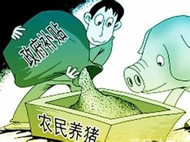 農(nóng)村曉得養(yǎng)豬補貼的少就算了，中小養(yǎng)殖戶還沾不上邊？！
