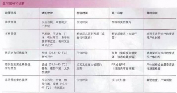 豬場(chǎng)養(yǎng)豬盲點(diǎn)？解析引起疾病的原因