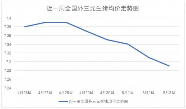 豬價又跌，大有“破7”之勢，究竟是什么在作怪？