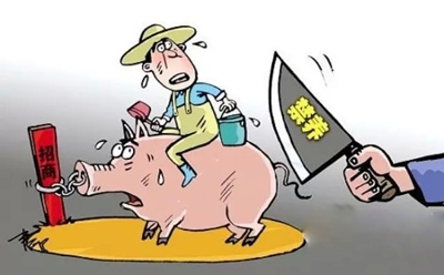 農(nóng)業(yè)部司長：下一步重資打造東北地區(qū)