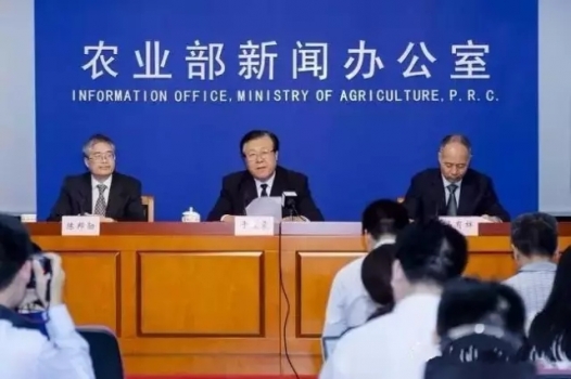 農(nóng)業(yè)部副部長最新回應：環(huán)保要做，強拆豬場可不行！