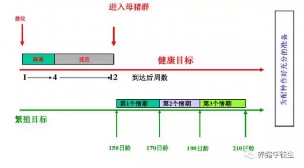 3.webp.jpg