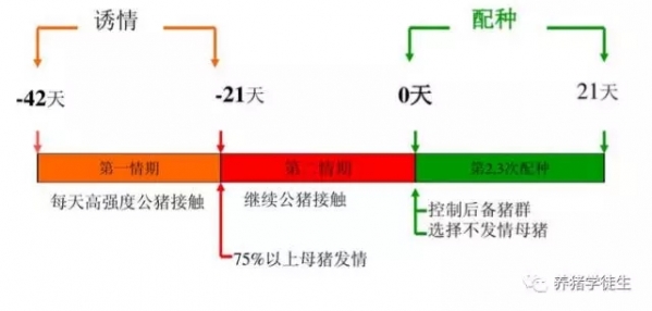6.webp.jpg