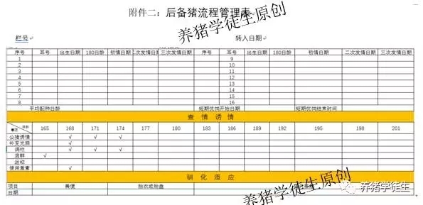 后備豬發(fā)情管理及記錄