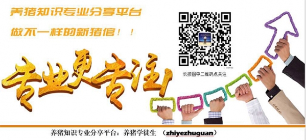 養(yǎng)豬學徒生.jpg