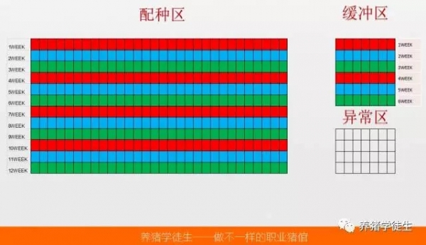 養(yǎng)豬技術(shù)吧：妊娠蛇形（2）
