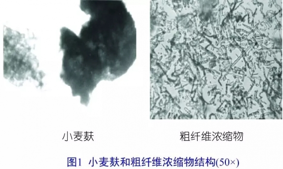 不可溶非發(fā)酵性纖維可促進(jìn)腸道健康