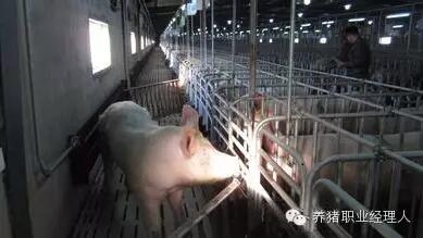 必修課 | 返情檢查時應(yīng)考慮到的因素（值得收藏）