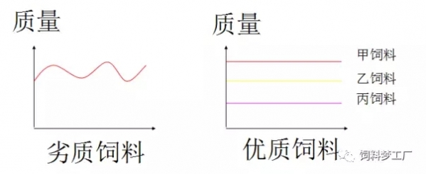 2.webp.jpg