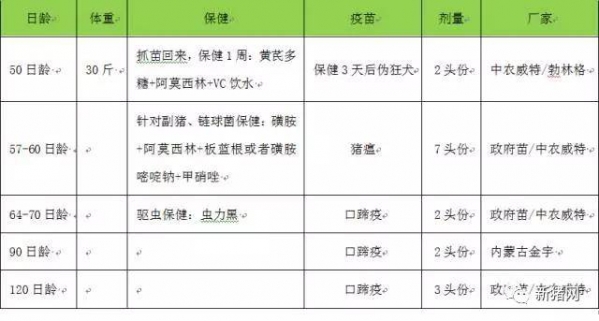 生長育肥豬的日常管理細(xì)節(jié)