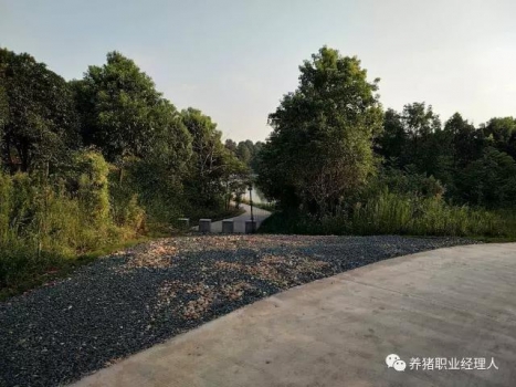 必修課 | 豬場(chǎng)隔離措施完善與否決定一個(gè)場(chǎng)的疾病是否多發(fā)（值得收藏）