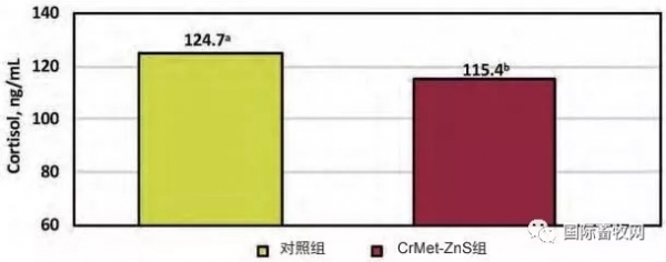 3.webp.jpg