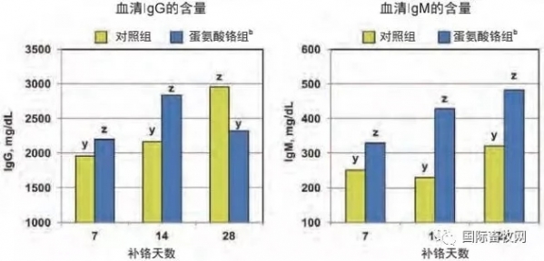 鉻元素在豬營(yíng)養(yǎng)中的應(yīng)用（上）