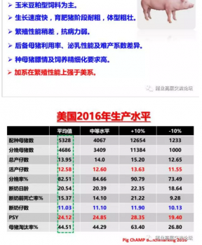 丹系VS美系母豬營養(yǎng)及飼喂差異_03.png