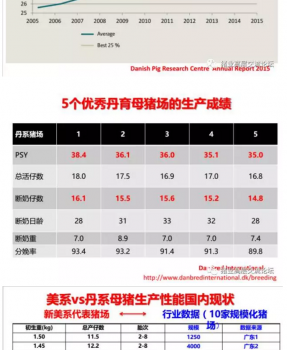 丹系VS美系母豬營養(yǎng)及飼喂差異_05.png