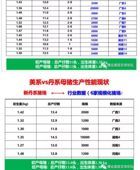 丹系VS美系母豬營養(yǎng)及飼喂差異_06.png