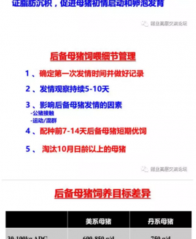 丹系VS美系母豬營養(yǎng)及飼喂差異_16.png