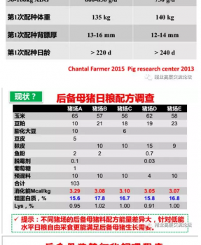 丹系VS美系母豬營養(yǎng)及飼喂差異_17.png