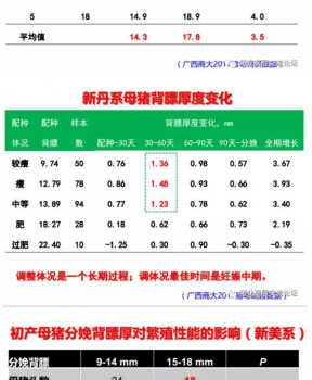 丹系VS美系母豬營養(yǎng)及飼喂差異_02.png