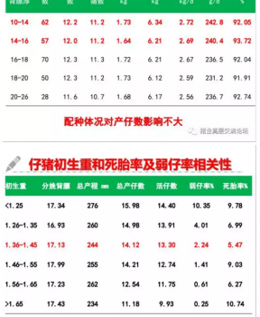 丹系VS美系母豬營養(yǎng)及飼喂差異_06.png