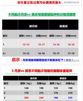 丹系VS美系母豬營養(yǎng)及飼喂差異_07.png