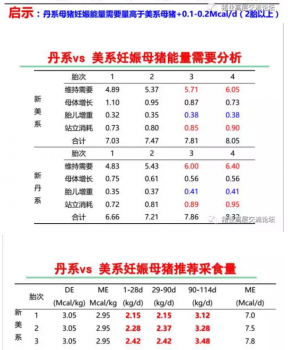 丹系VS美系母豬營養(yǎng)及飼喂差異_10.png