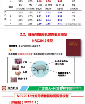 丹系VS美系母豬營養(yǎng)及飼喂差異_11.png