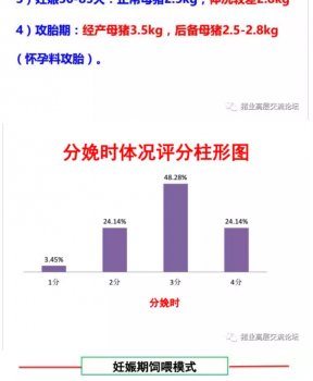 丹系VS美系母豬營養(yǎng)及飼喂差異_14.png