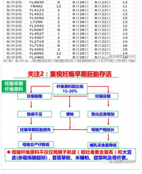 丹系VS美系母豬營養(yǎng)及飼喂差異_17.png