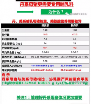 丹系VS美系母豬營養(yǎng)及飼喂差異_06.png
