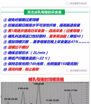 丹系VS美系母豬營養(yǎng)及飼喂差異_10.png