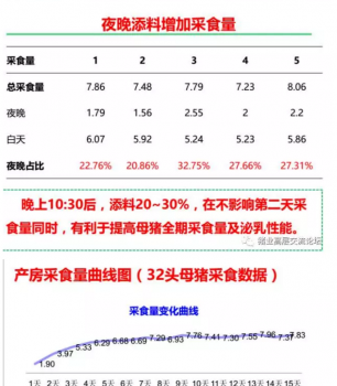 丹系VS美系母豬營養(yǎng)及飼喂差異_12.png