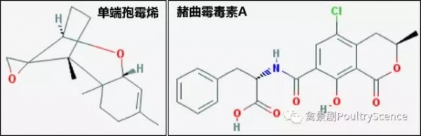 4.webp.jpg