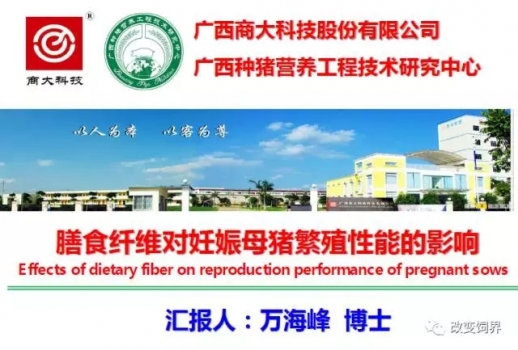 萬海峰博士：膳食纖維對妊娠母豬繁殖性能的影響