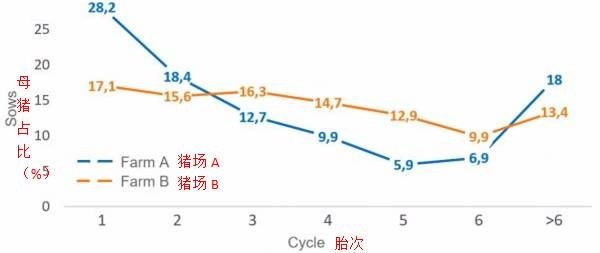 如何減少后備母豬更新率、維持較好的胎齡結(jié)構(gòu)？