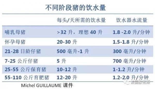 技術(shù)控 | 如何增加哺乳母豬的飲水量？