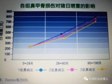 AR疾病的經(jīng)濟(jì)損失評(píng)估和疫苗免疫回報(bào)的分析