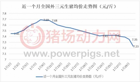 豬價跌瘋了！別急，2月仍有上漲機會.....