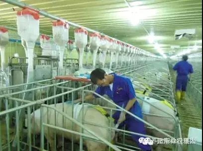 必修課 | 均衡生產(chǎn)與全進全出技術(shù)的應(yīng)用