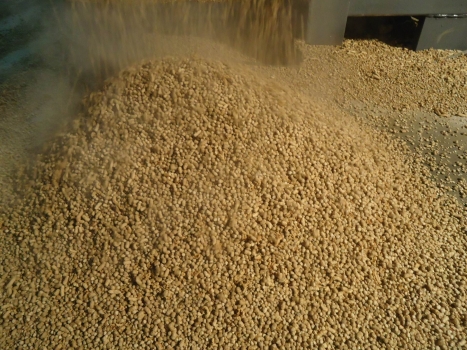 飼料加工中的清理技術(shù)
