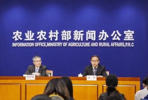生豬存欄、能繁母豬雙雙反彈，豬價(jià)走勢(shì)會(huì)如何？央視、農(nóng)業(yè)農(nóng)村部齊發(fā)聲！