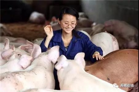 怎樣少虧損、零虧損，在行情好轉(zhuǎn)時(shí)有豬賣、穩(wěn)賺錢呢？