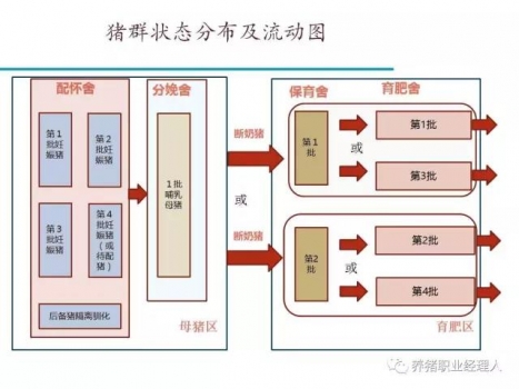 批次生產(chǎn)|規(guī)模場四周批生產(chǎn)模式簡介（1）