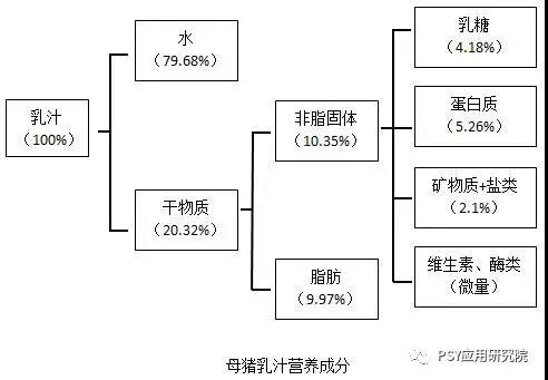 母豬奶水中含有這么多營(yíng)養(yǎng)?