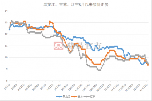 非洲豬瘟下，北方豬價(jià)漲跌不一，背后究竟是什么原因？