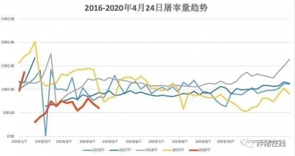 清明、五一豬價都不漲，反映一個重要信息！