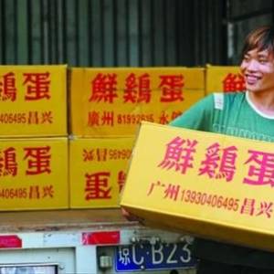 北京雞蛋不淡定 每公斤零售價(jià)近9.5元