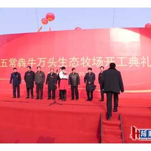 京鵬畜牧應(yīng)邀出席五常犇牛萬(wàn)頭生態(tài)牧場(chǎng)開(kāi)工儀式隆重舉行