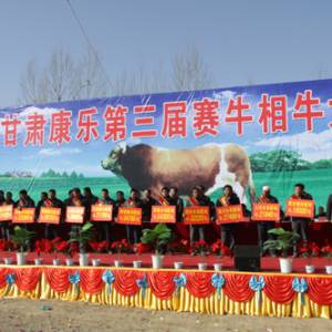 康樂(lè)舉辦第三屆賽牛相牛大會(huì)